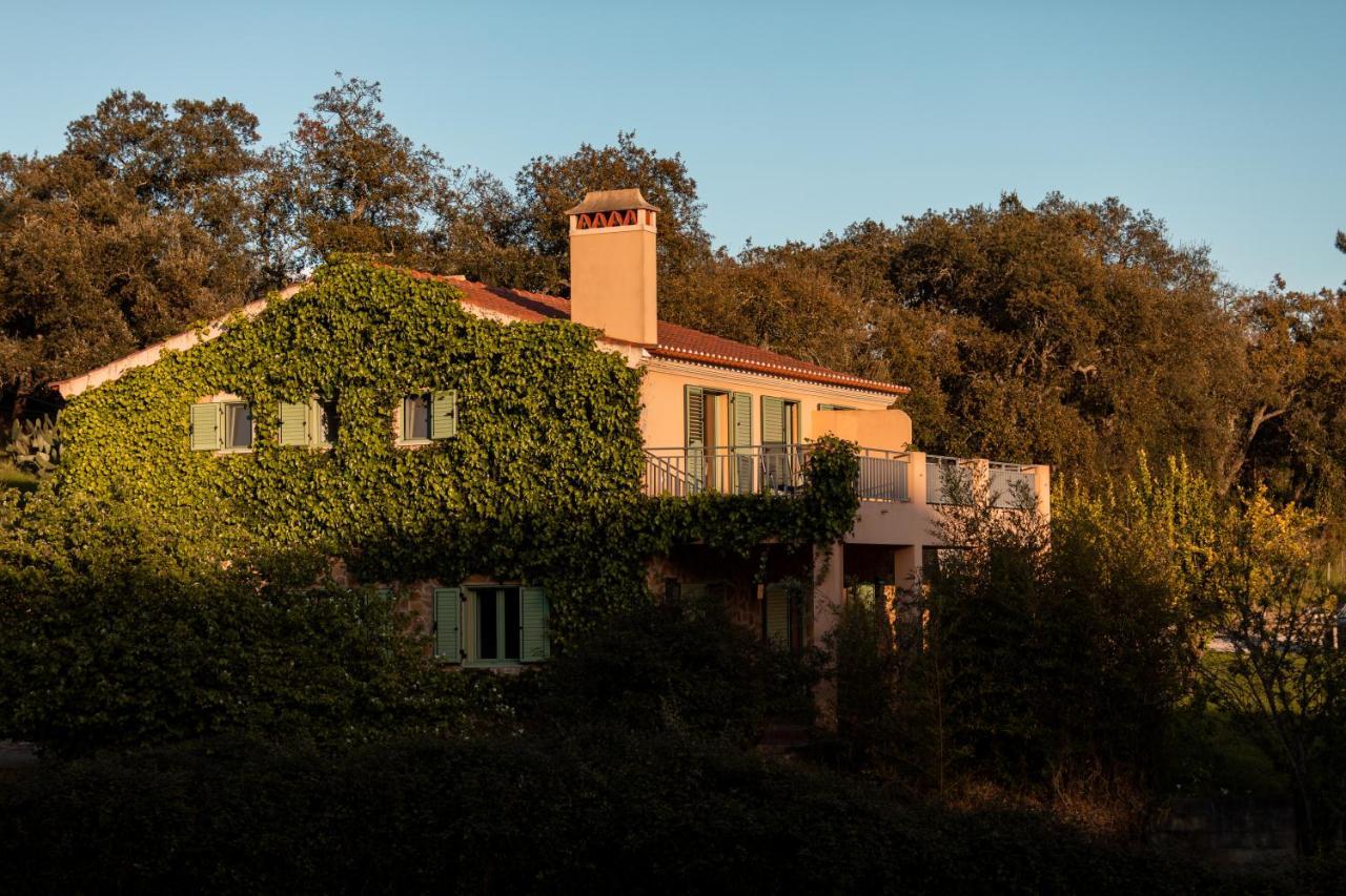 Vale De Ferreiros Guest House Abrantes Exterior foto